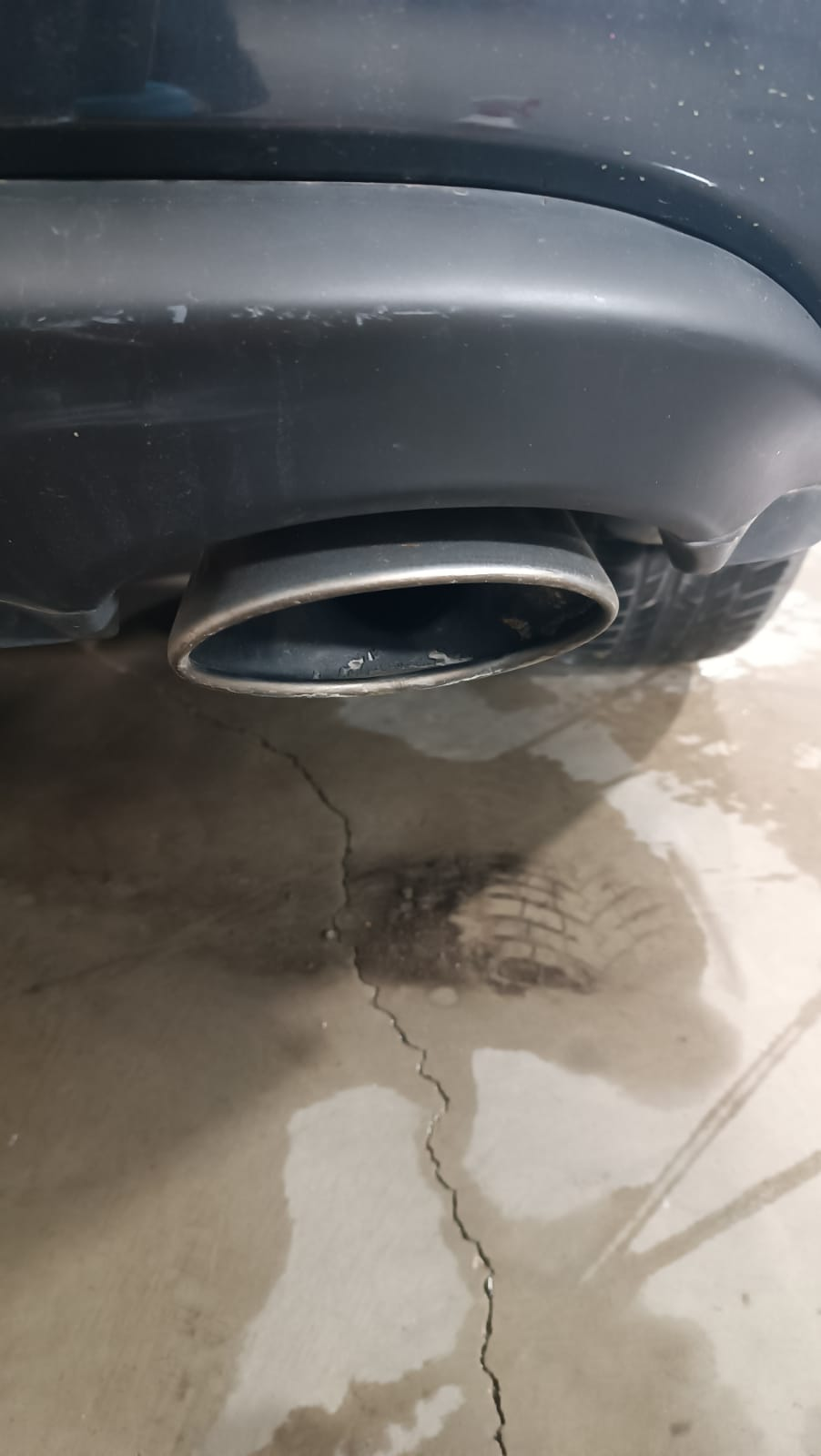 Imagen de galería IMG-20241217-WA0018.webp